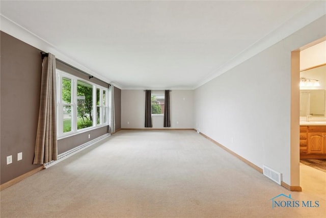 1208 Lindau St, Archbold, OH 43502 - unfurnished room featuring light colored carpet, baseboards, a sink, and crown molding