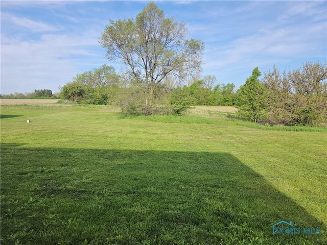 view of green lawn