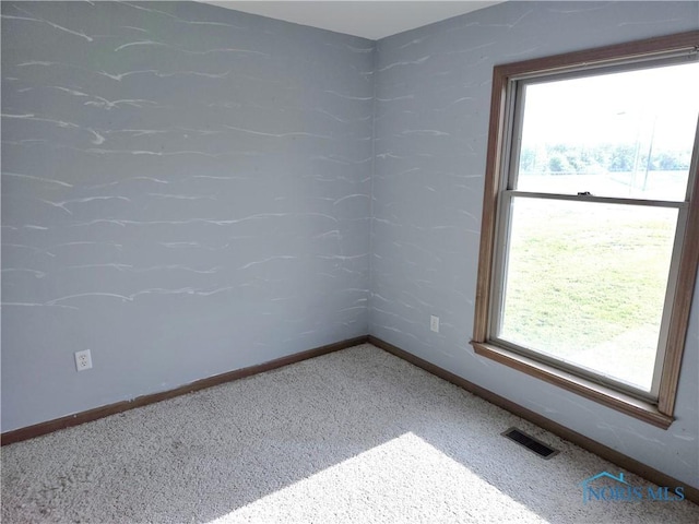 5924 N Reiman Rd, Curtice, OH 43412 - spare room featuring healthy amount of natural light, carpet flooring, and baseboards