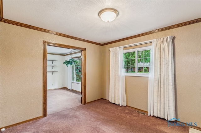 832 Maple Ln, Waterville, OH 43566 - empty room featuring a textured wall, crown molding, plenty of natural light, carpet, and a textured ceiling