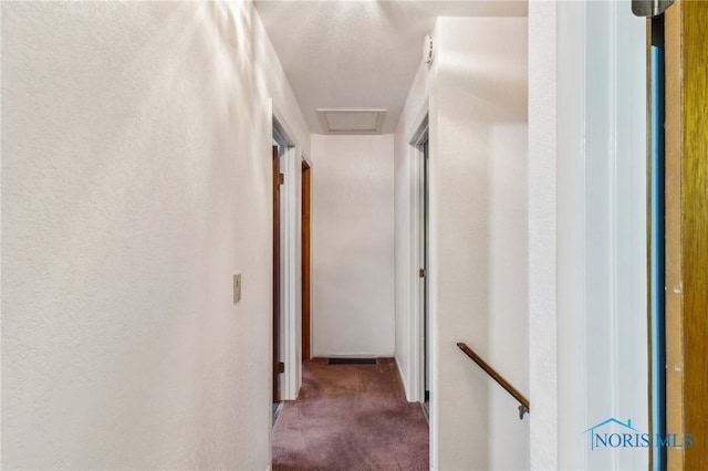 832 Maple Ln, Waterville, OH 43566 - hallway with carpet flooring and an upstairs landing