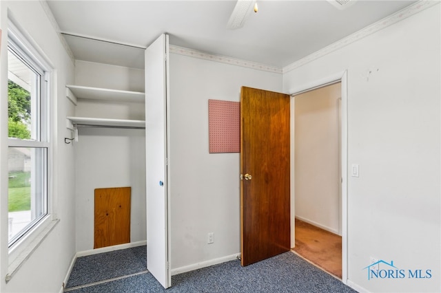 832 Maple Ln, Waterville, OH 43566 - view of closet