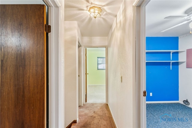 832 Maple Ln, Waterville, OH 43566 - corridor featuring carpet and baseboards