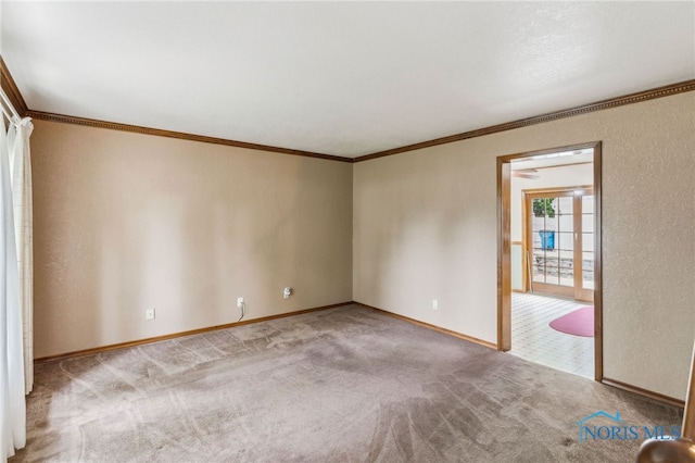 832 Maple Ln, Waterville, OH 43566 - spare room with crown molding, carpet flooring, and baseboards
