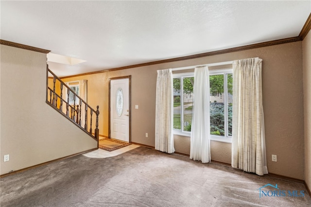 832 Maple Ln, Waterville, OH 43566 - foyer with crown molding, stairs, carpet floors, baseboards, and a textured wall