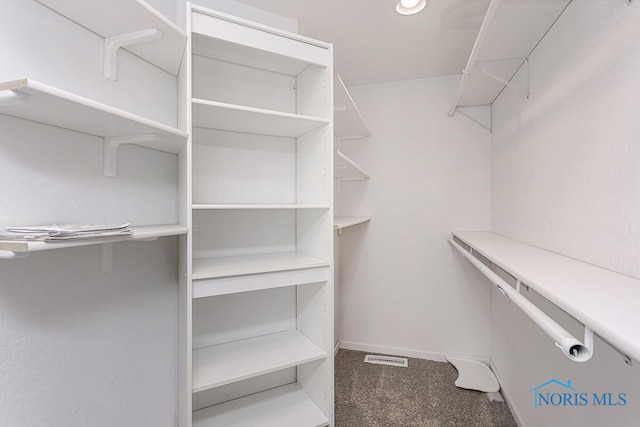 17315 County Road R, Napoleon, OH 43545 - walk in closet with carpet floors