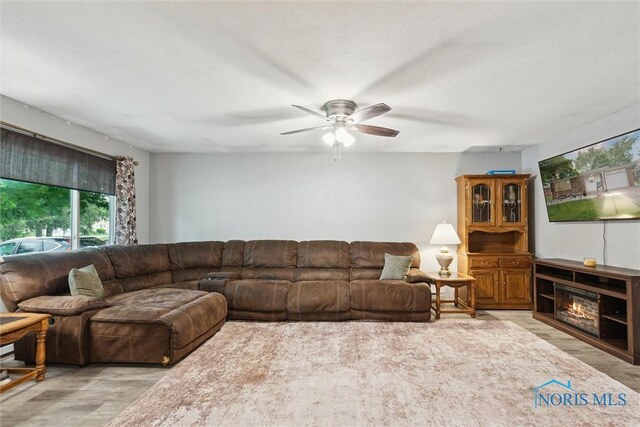 417 Indian Rd, Wauseon, OH 43567 - living area featuring light wood-style floors and ceiling fan
