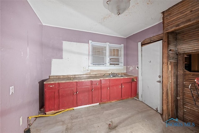 kitchen with concrete flooring, dark brown cabinets, and a sink