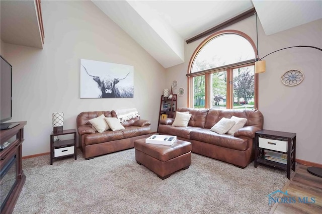 2008 Rush Creek Ct, Findlay, OH 45840 - living area with baseboards and high vaulted ceiling