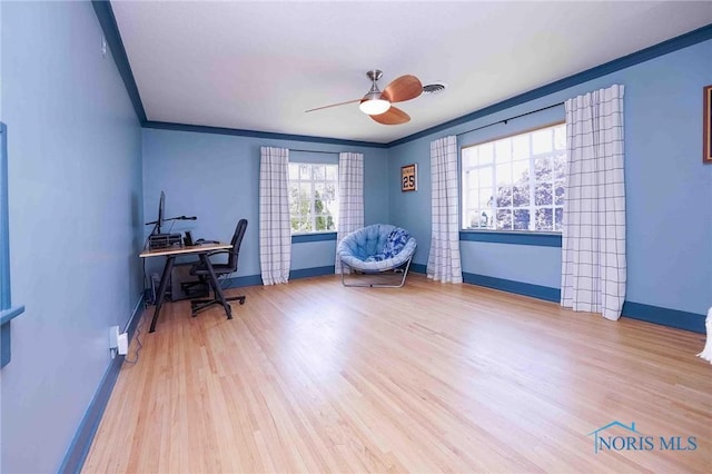 218 E Mcpherson Ave, Findlay, OH 45840 - office with wood finished floors, ceiling fan, ornamental molding, and baseboards