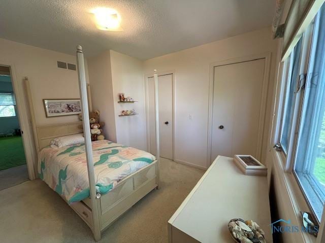 6047 Peppermill Dr, Sylvania, OH 43560 - bedroom with light colored carpet, multiple windows, a textured ceiling, and multiple closets