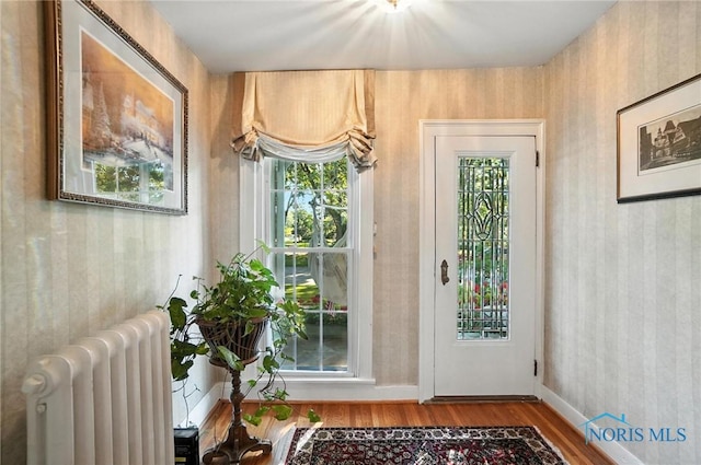 232 E Wayne St, Maumee, OH 43537 - doorway featuring radiator and wood finished floors