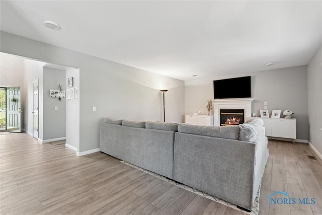 548 Niagara Ave, Holland, OH 43528 - living area with light wood-type flooring, baseboards, and a glass covered fireplace