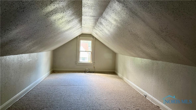 2659 Oak Grove Pl, Toledo, OH 43613 - bonus room with a textured wall, lofted ceiling, carpet flooring, a textured ceiling, and baseboards