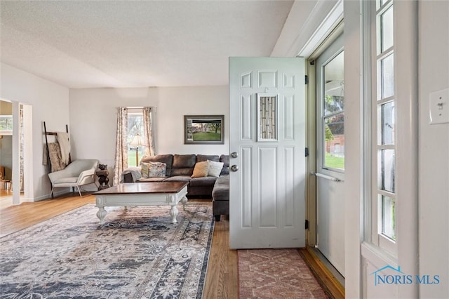 3555 Island Ave, Toledo, OH 43614 - living room with wood finished floors and plenty of natural light