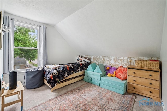 3555 Island Ave, Toledo, OH 43614 - bedroom featuring lofted ceiling, carpet floors, and a textured ceiling