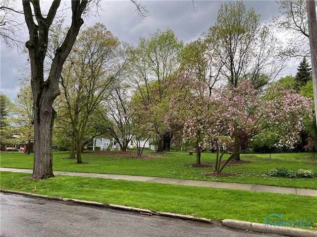 view of property's community with a lawn
