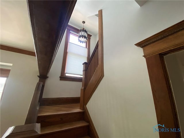 staircase featuring wood finished floors and baseboards