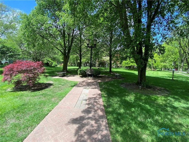 view of grassy yard featuring view of wooded area