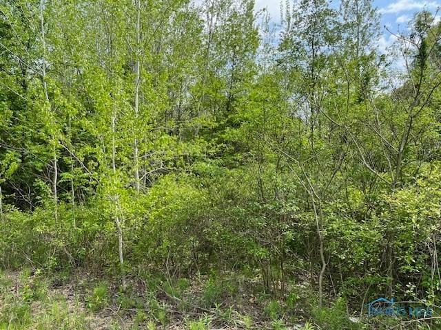 9957 Angola Rd, Swanton, OH 43558 - photo 1
