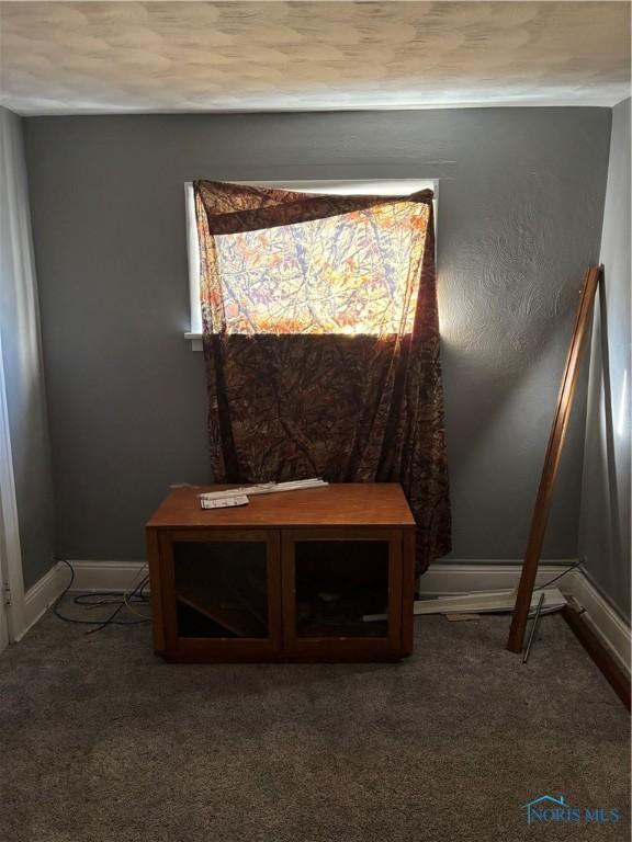 315 Austin St, Toledo, OH 43608 - detailed view of carpet floors and baseboards