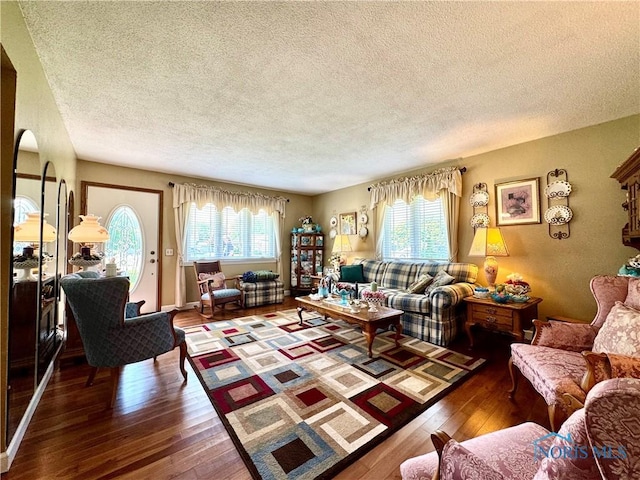 360 N Harmony Dr, Napoleon, OH 43545 - living room with a textured ceiling, hardwood / wood-style floors, and plenty of natural light