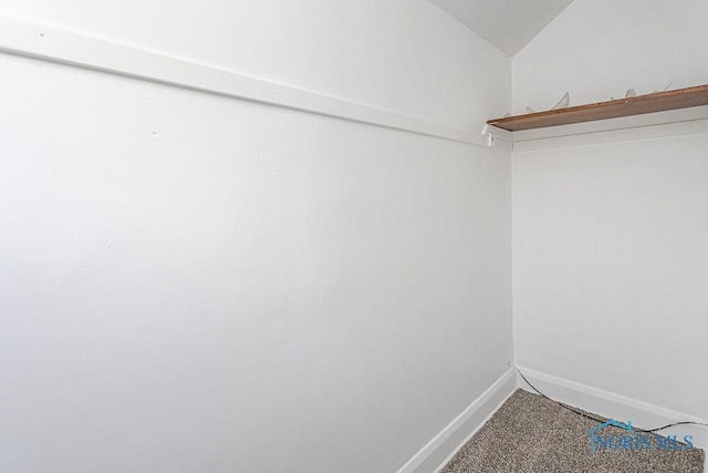 940 Kingston Ave, Toledo, OH 43605 - walk in closet featuring carpet flooring