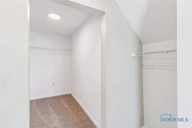 221 Poplar St, North Baltimore, OH 45872 - walk in closet featuring carpet