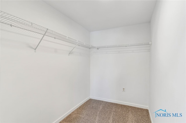 221 Poplar St, North Baltimore, OH 45872 - spacious closet with carpet flooring
