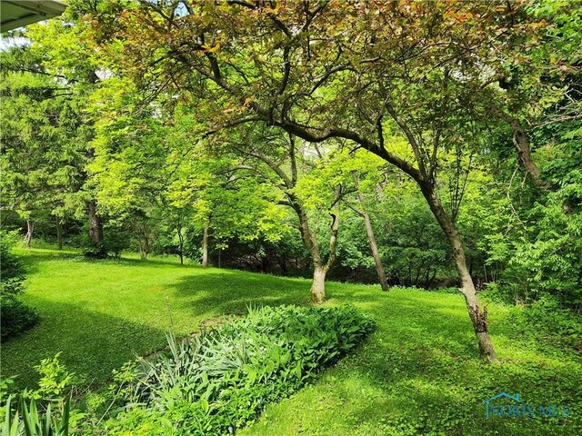 28330 W River Rd, Perrysburg, OH 43551 - view of grassy yard with a forest view