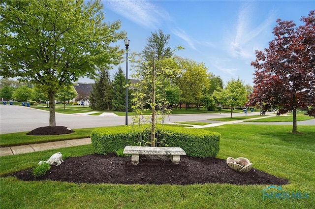 view of community with a lawn