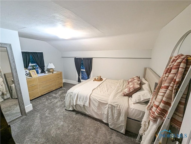 825 Cory St, Fostoria, OH 44830 - bedroom featuring vaulted ceiling, dark colored carpet, and baseboards
