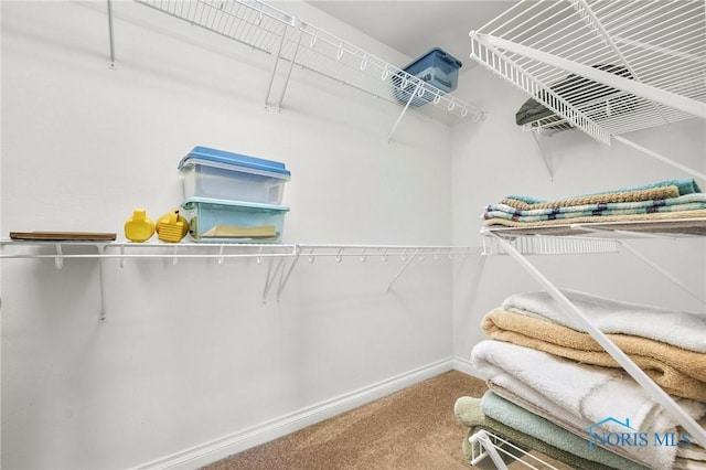 walk in closet with carpet floors