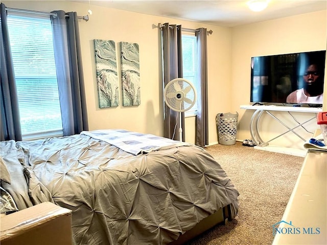 405 W Richards Rd, Toledo, OH 43607 - bedroom featuring carpet floors