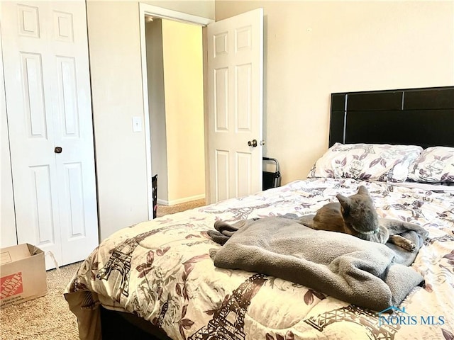 405 W Richards Rd, Toledo, OH 43607 - bedroom featuring carpet and a closet