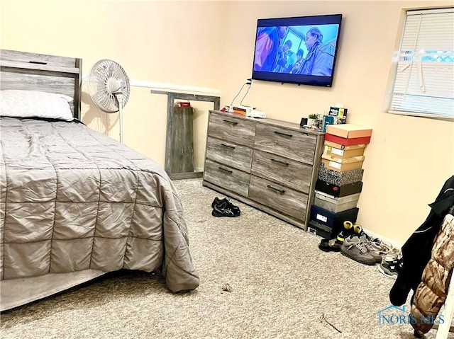 405 W Richards Rd, Toledo, OH 43607 - bedroom with carpet floors