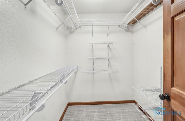 1977 Lexington Dr, Perrysburg, OH 43551 - spacious closet featuring carpet floors