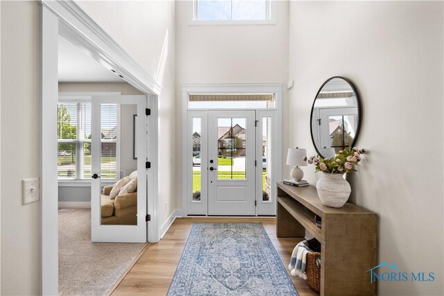 5653 Mallard Pointe Ln, Sylvania, OH 43560 - foyer featuring light wood-style floors and a towering ceiling
