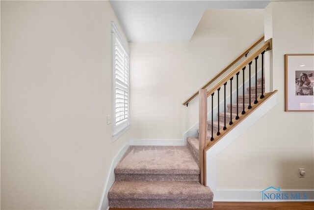 5653 Mallard Pointe Ln, Sylvania, OH 43560 - stairs featuring baseboards