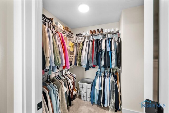 5653 Mallard Pointe Ln, Sylvania, OH 43560 - spacious closet with carpet