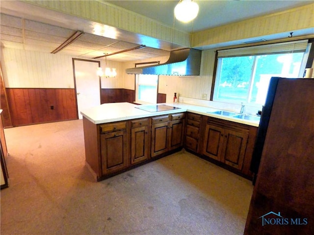 651 Park St, Napoleon, OH 43545 - kitchen featuring black electric stovetop, healthy amount of natural light, wood walls, a wainscoted wall, and a peninsula