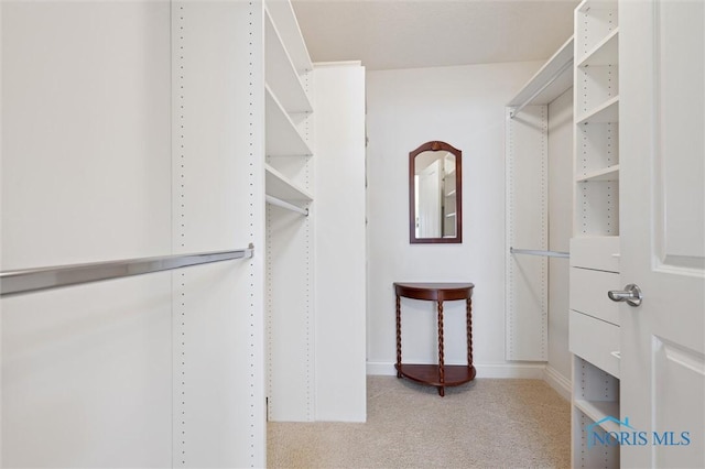 2730 Canterbury Cir Unit 23B, Port Clinton, OH 43452 - spacious closet featuring carpet floors