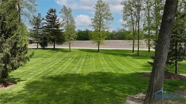 7373 County Road 12, Wauseon, OH 43567 - photo 41