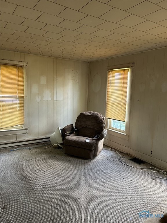 701 E Wayne St, Paulding, OH 45879 - living area featuring carpet and wooden walls