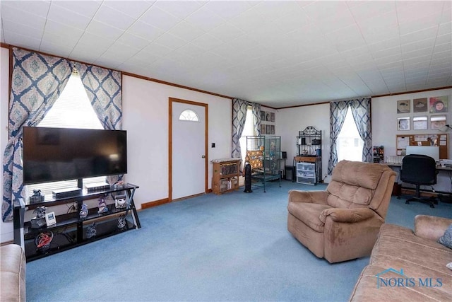 344 E Findlay St, Sugar Creek Township, OH 45893 - living room featuring carpet floors, an office area, crown molding, and baseboards