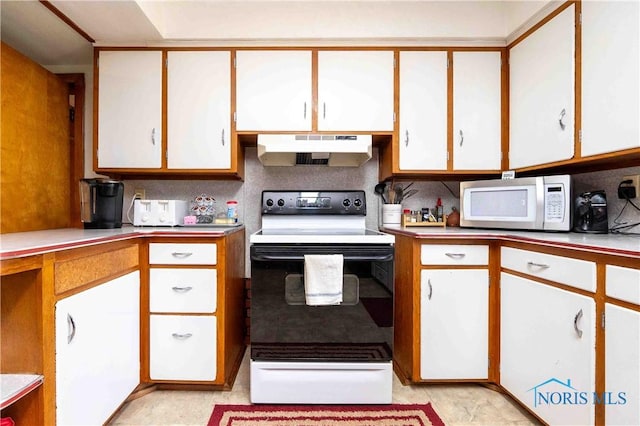 344 E Findlay St, Sugar Creek Township, OH 45893 - kitchen featuring under cabinet range hood, electric range oven, white microwave, white cabinets, and light countertops