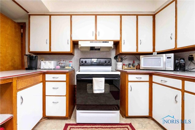344 E Findlay St, Sugar Creek Township, OH 45893 - kitchen with under cabinet range hood, electric stove, white microwave, and white cabinets