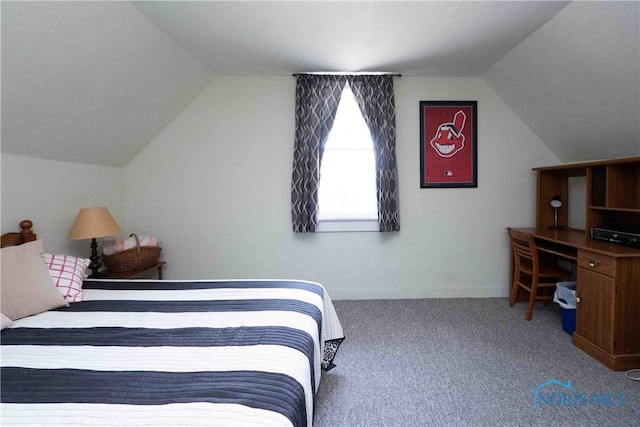 344 E Findlay St, Sugar Creek Township, OH 45893 - bedroom with vaulted ceiling and carpet floors