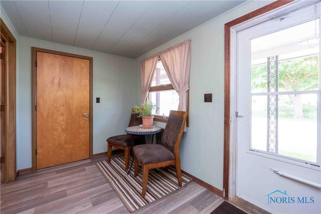 344 E Findlay St, Sugar Creek Township, OH 45893 - doorway featuring light wood-style flooring, healthy amount of natural light, ornamental molding, and baseboards