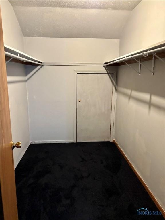 6955 Dorr St Unit 56, Toledo, OH 43615 - walk in closet with dark carpet and vaulted ceiling